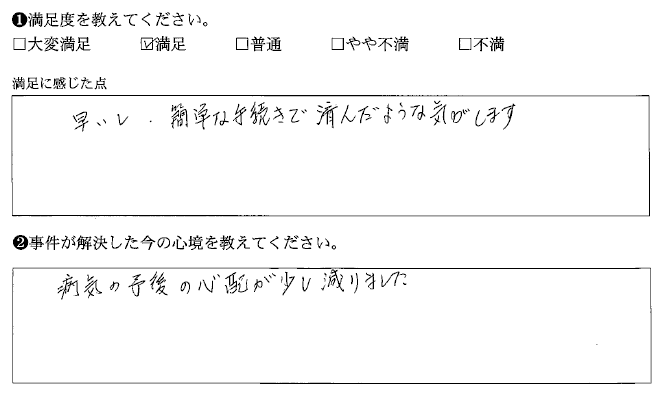 早いし、簡単な手続きで済んだような気がします